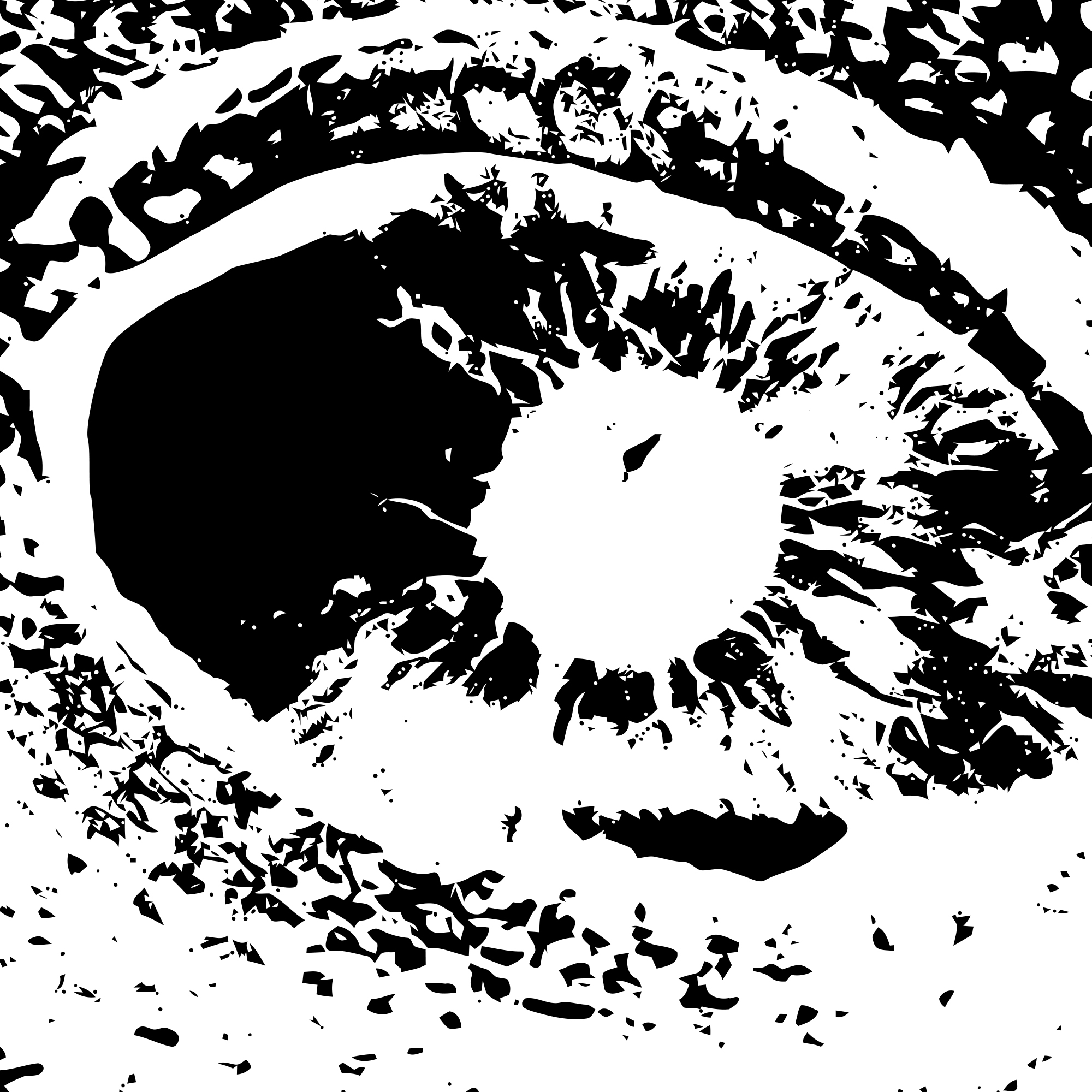 Tyrannical Buc  boutique cigar by Jas Sum Kral - Ecuadorian Connecticut Shade / Maduro / Barber Pole (CT + Maduro spiral) wrapper